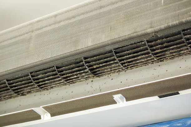 Best Air Duct Cleaning Company Near Me  in Crowley, TX